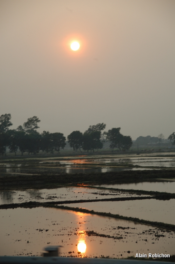 DSC_2532.jpg