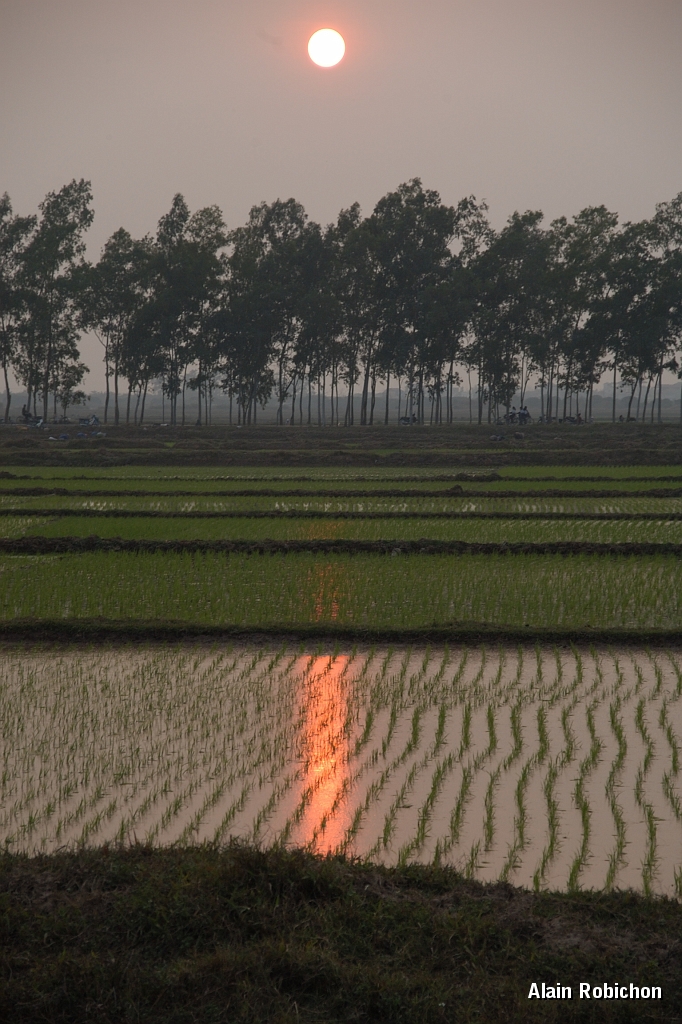 DSC_2539.jpg