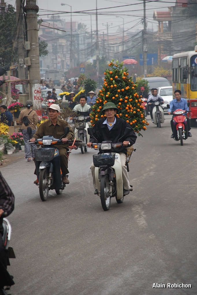 DSC_2573.jpg