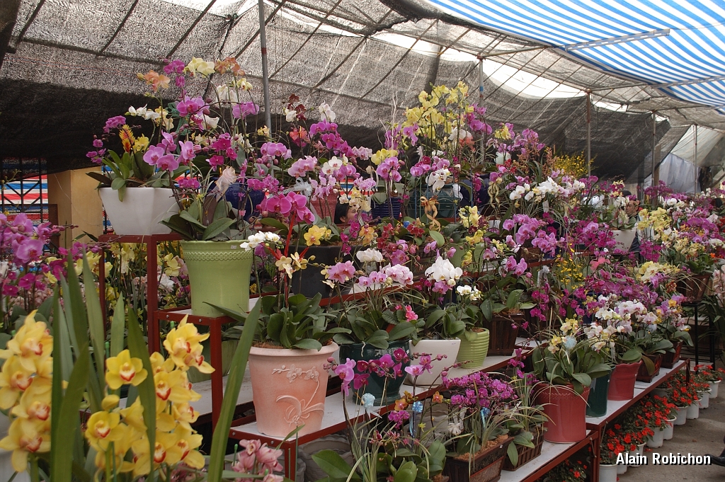 DSC_2598.jpg