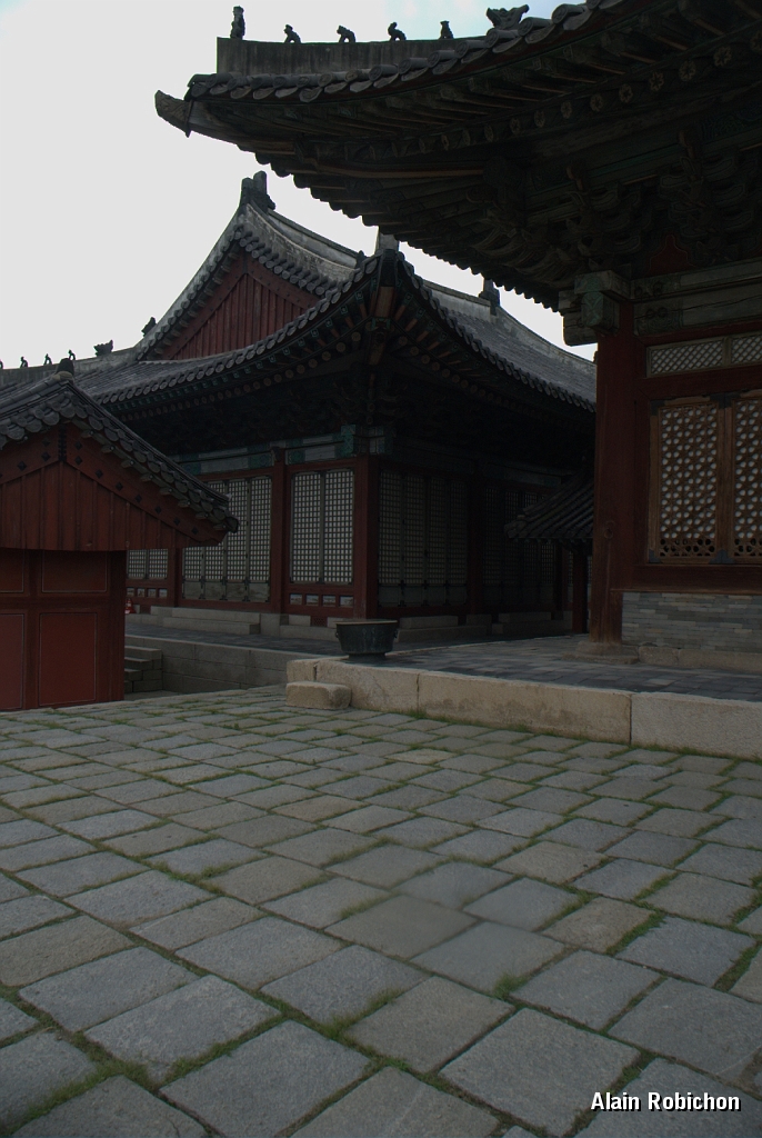 DSC_2959.jpg