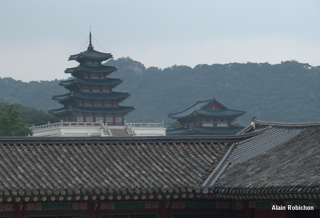 DSC_2984.jpg