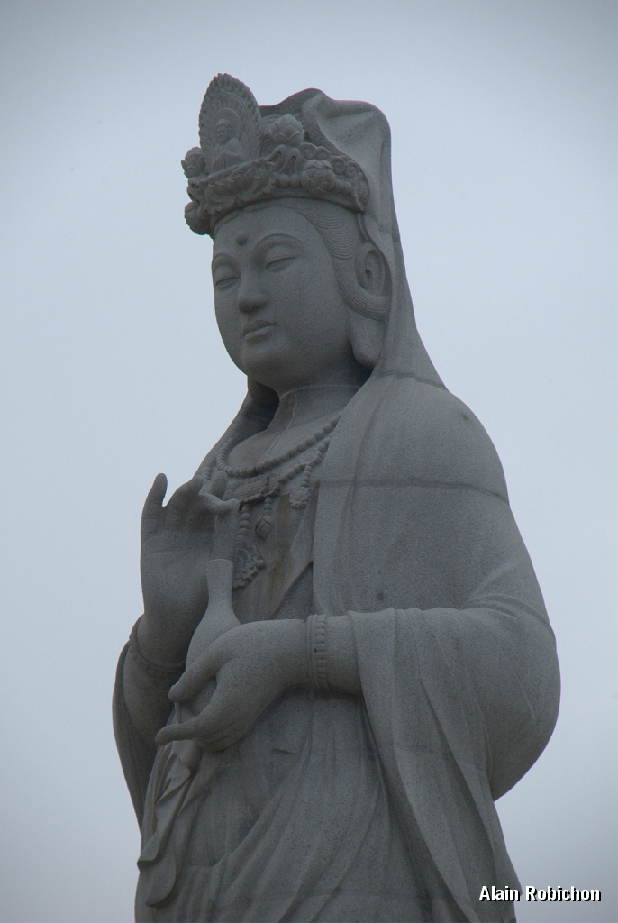 DSC_3014.jpg