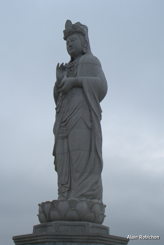 DSC_3015.jpg