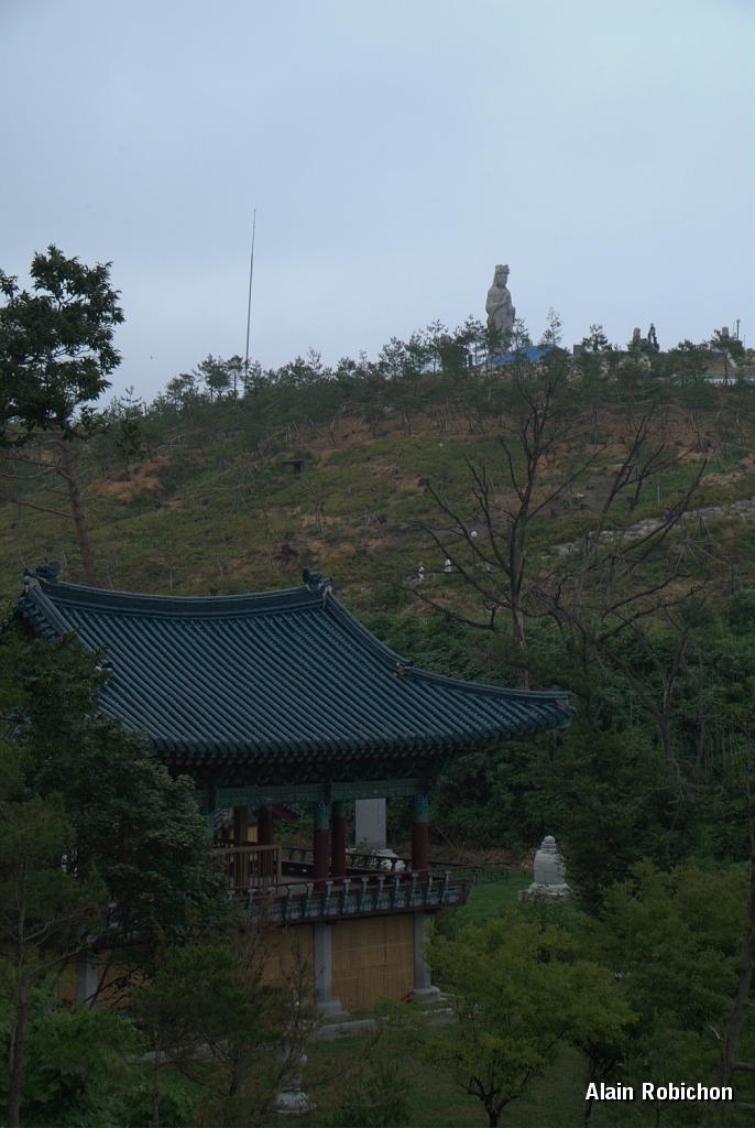 DSC_3016.jpg