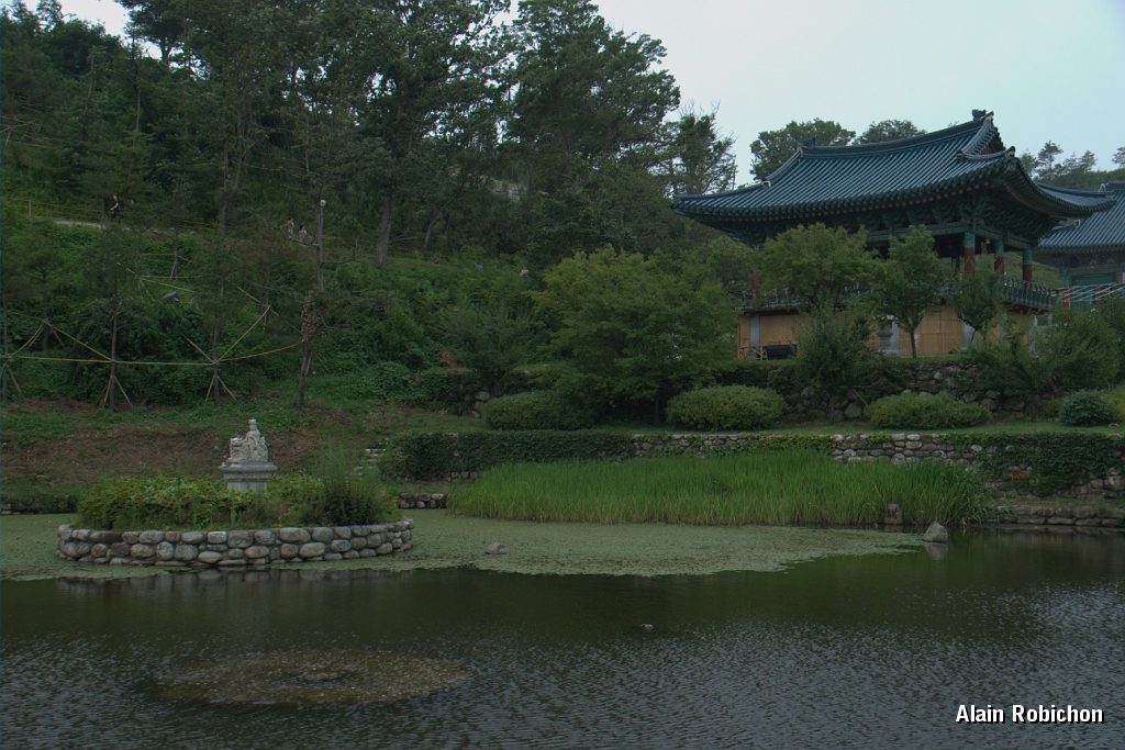 DSC_3019.jpg