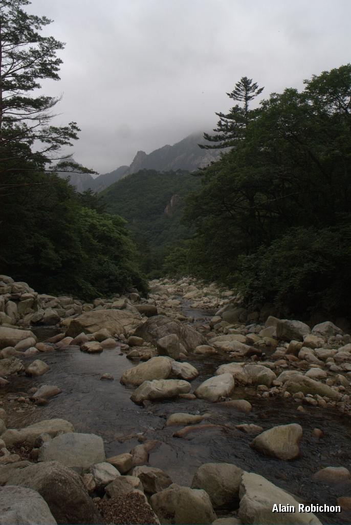 DSC_3033.jpg