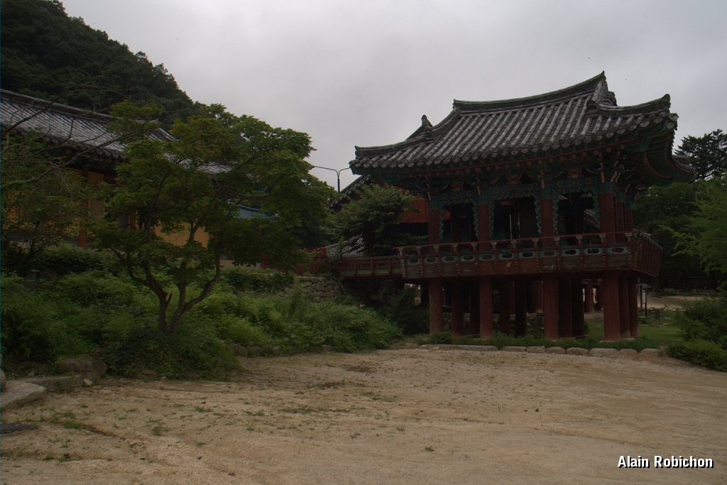 DSC_3039.jpg