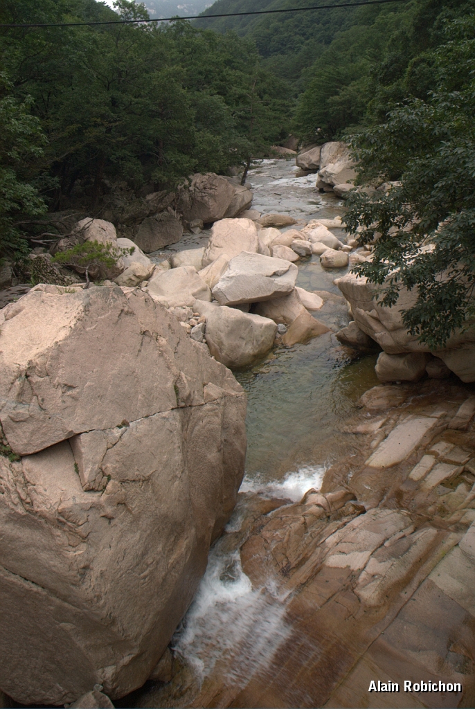 DSC_3046.jpg