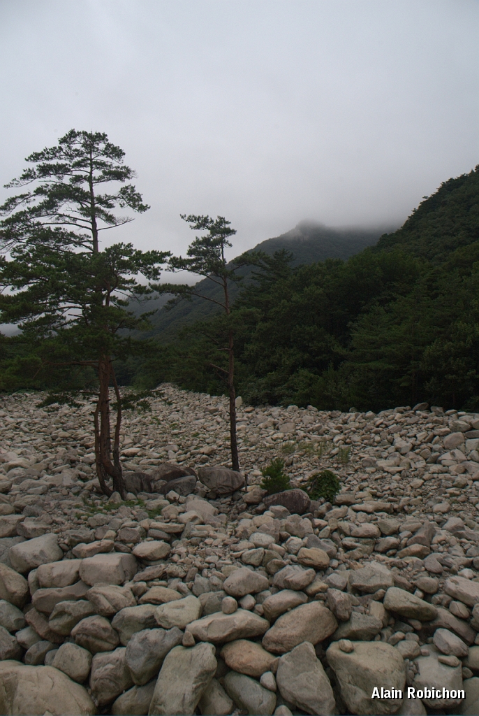 DSC_3047.jpg