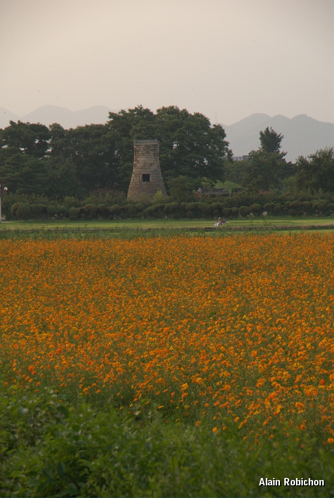 DSC_3059.jpg