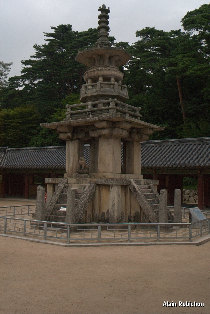DSC_3072.jpg