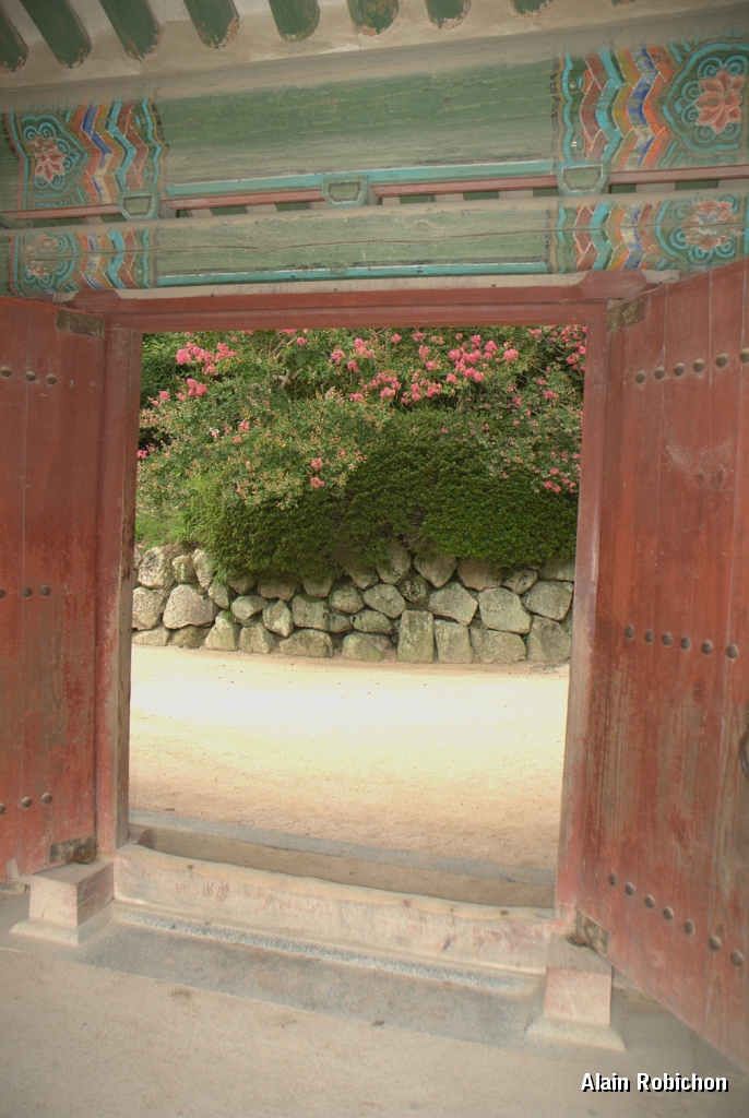 DSC_3079.jpg