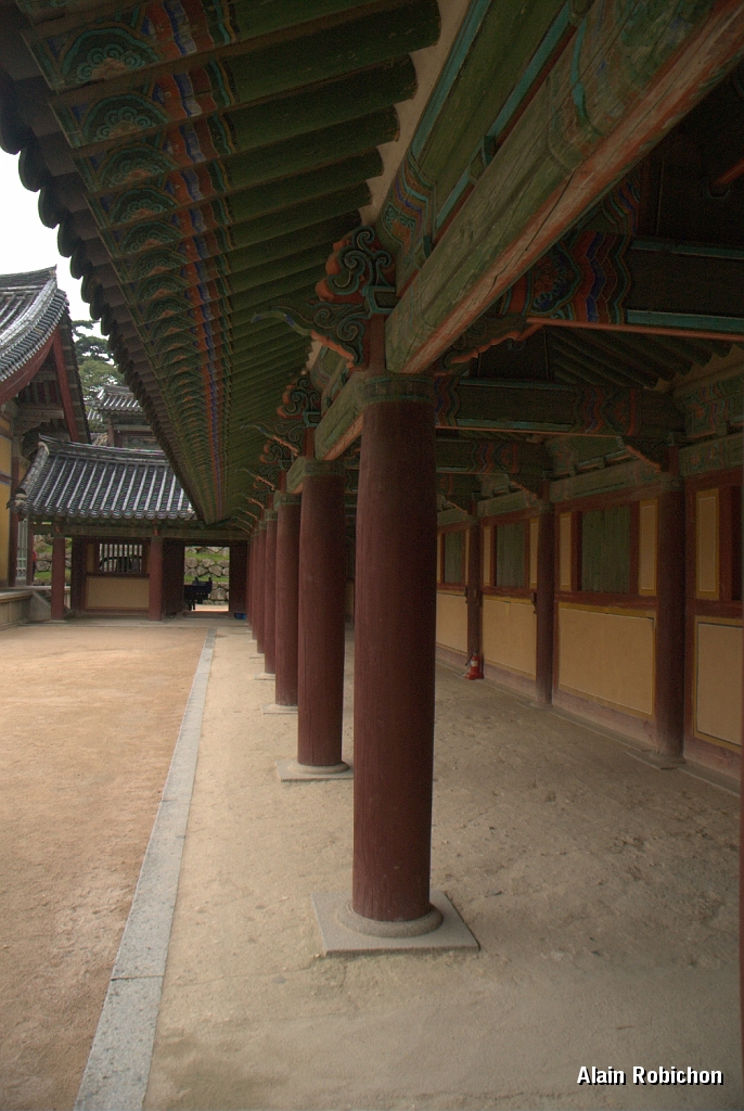 DSC_3080.jpg
