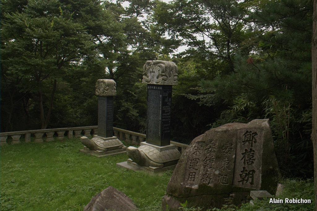 DSC_3093.jpg