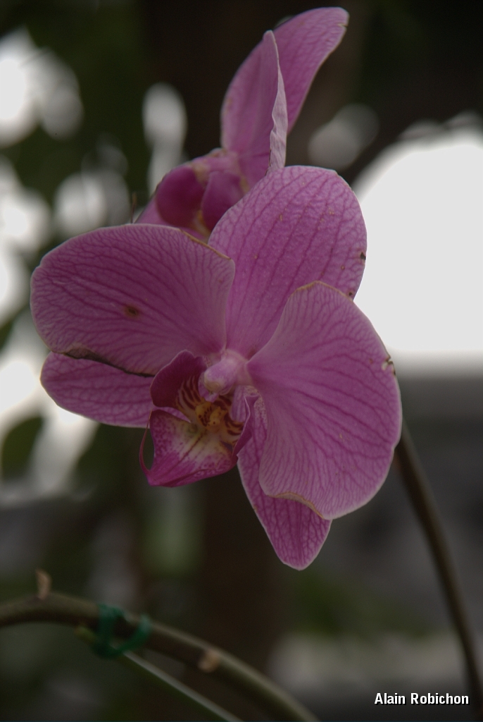 DSC_3114.jpg