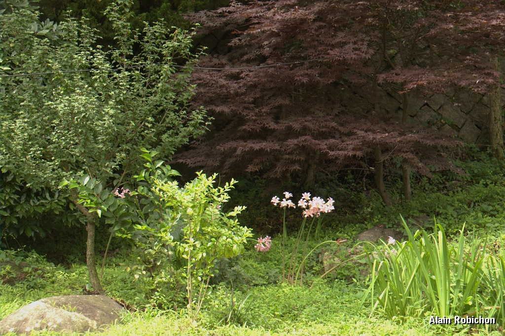 DSC_3116.jpg