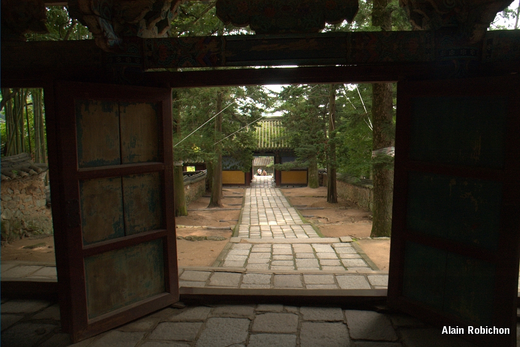 DSC_3128.jpg