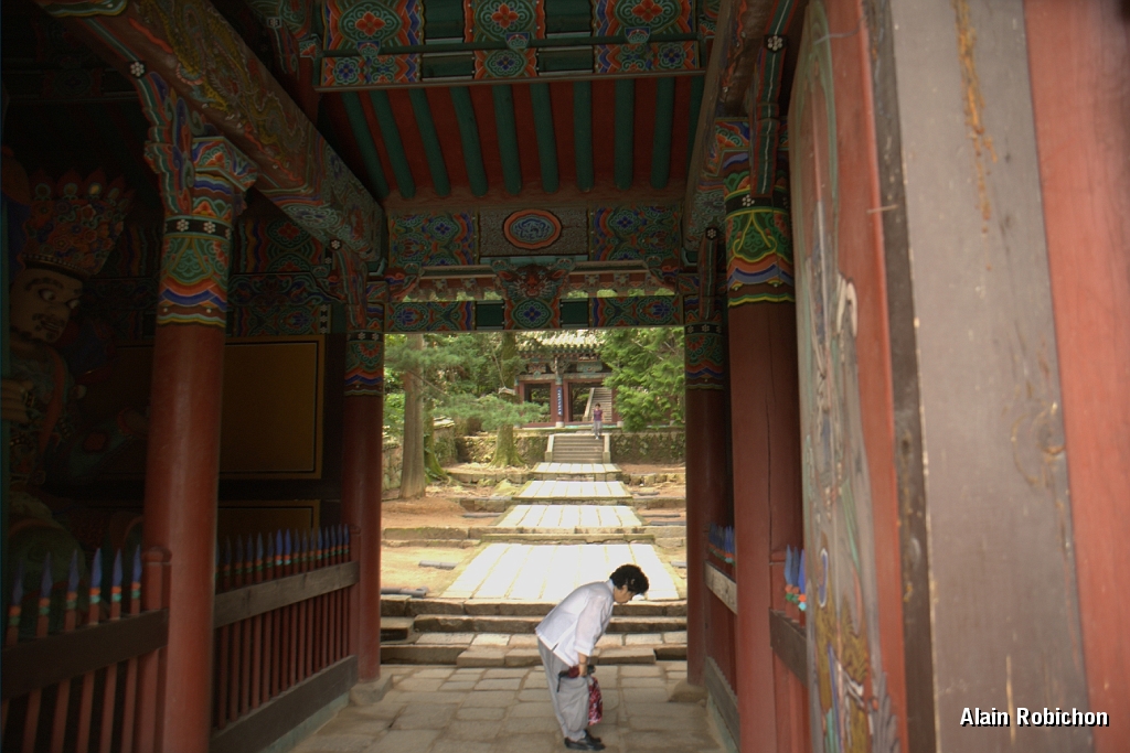 DSC_3130.jpg