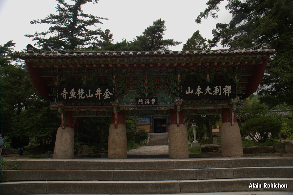 DSC_3133.jpg