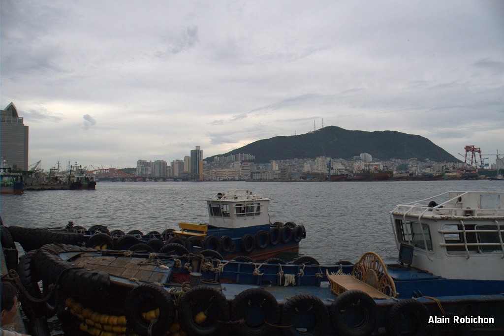 DSC_3136.jpg