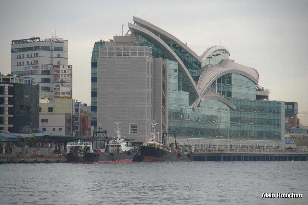 DSC_3137.jpg