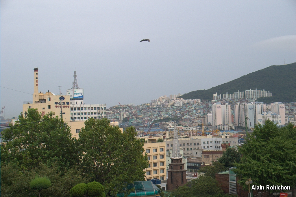 DSC_3140.jpg