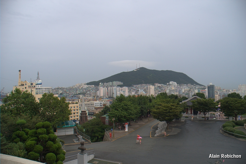 DSC_3141.jpg
