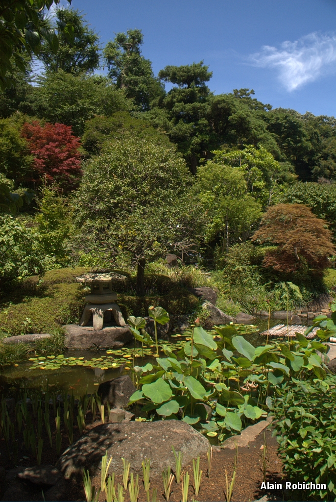 DSC_3169.jpg