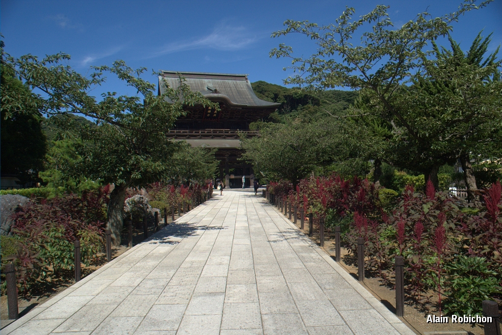 DSC_3188.jpg