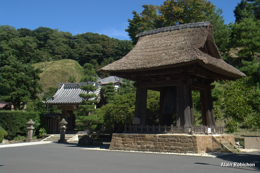 DSC_3190.jpg