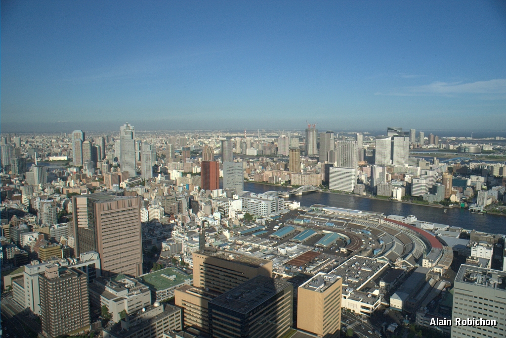 DSC_3203.jpg