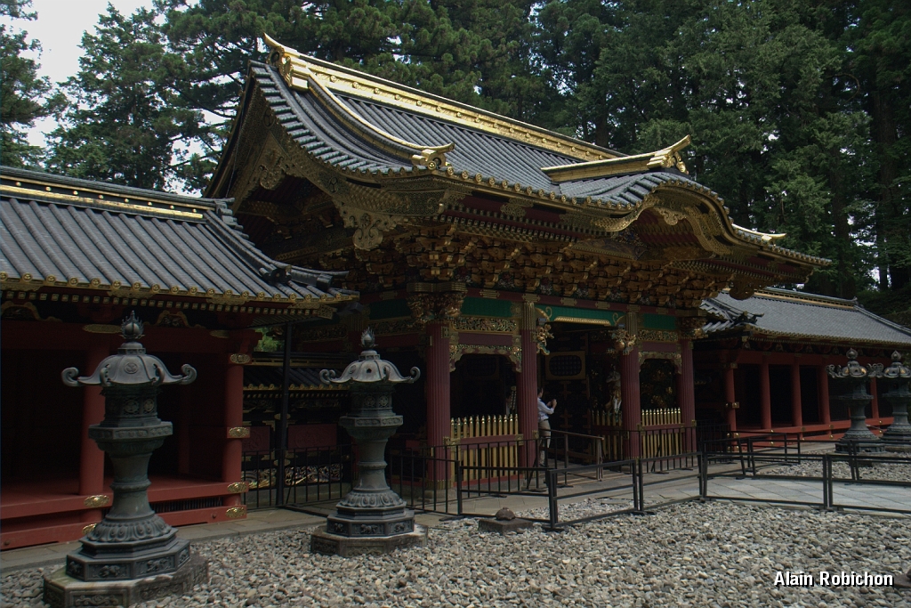 DSC_3309.jpg