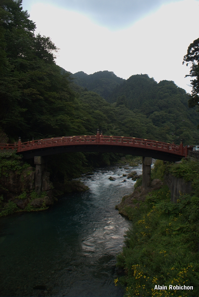DSC_3318.jpg