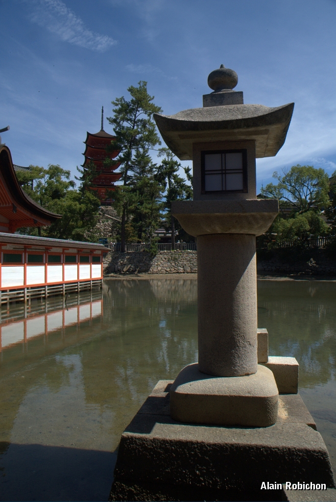 DSC_3359.jpg