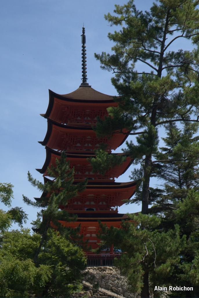 DSC_3360.jpg