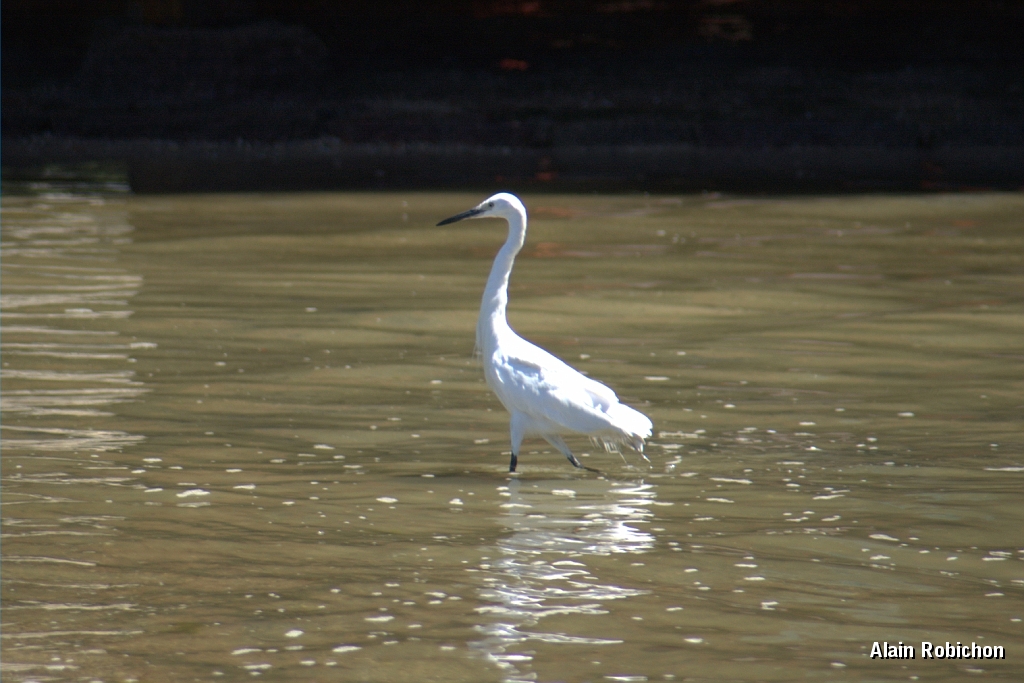 DSC_3369.jpg