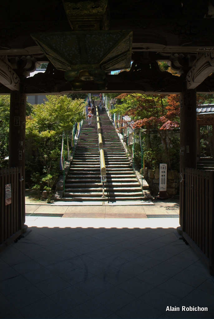 DSC_3371.jpg