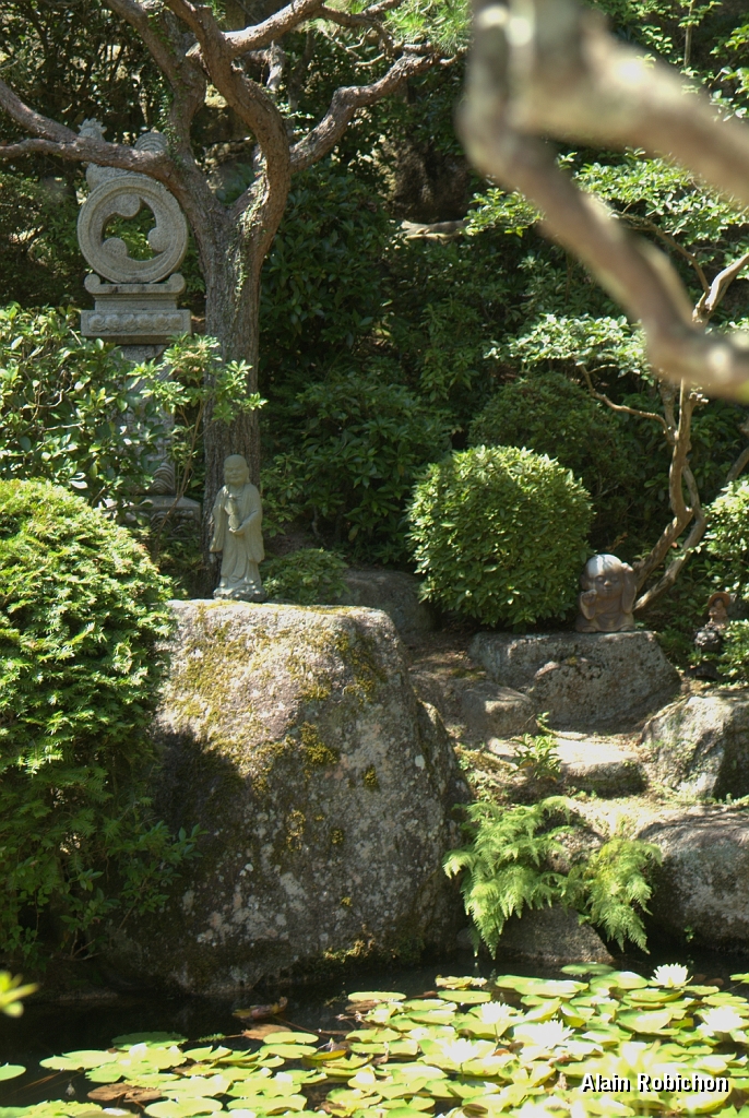 DSC_3376.jpg