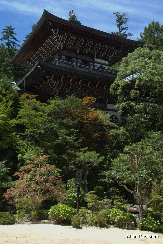 DSC_3377.jpg