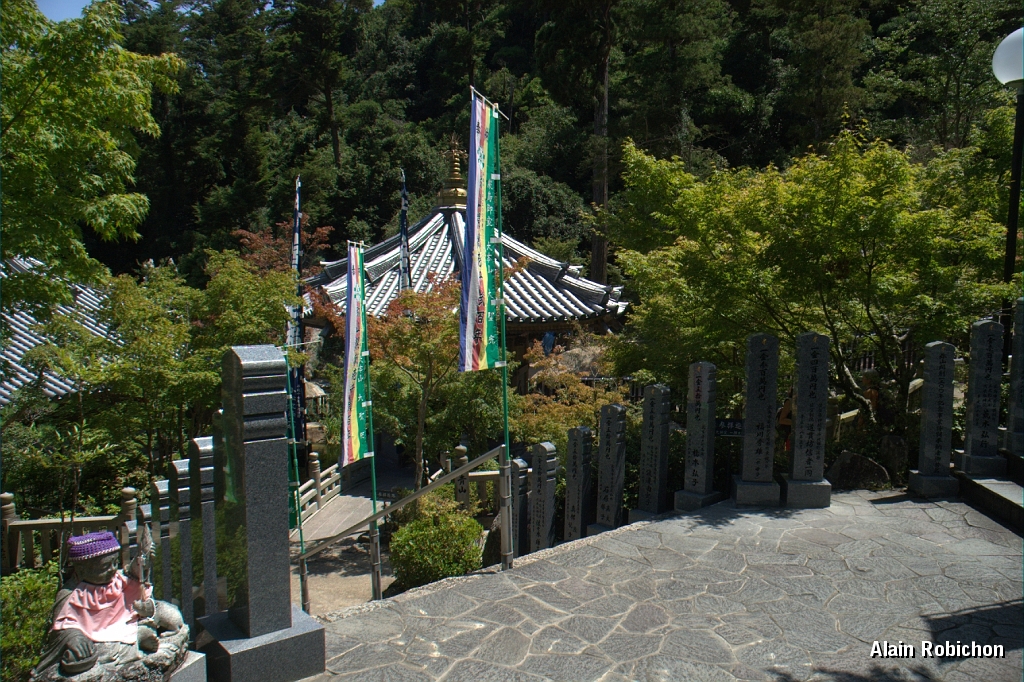 DSC_3383.jpg