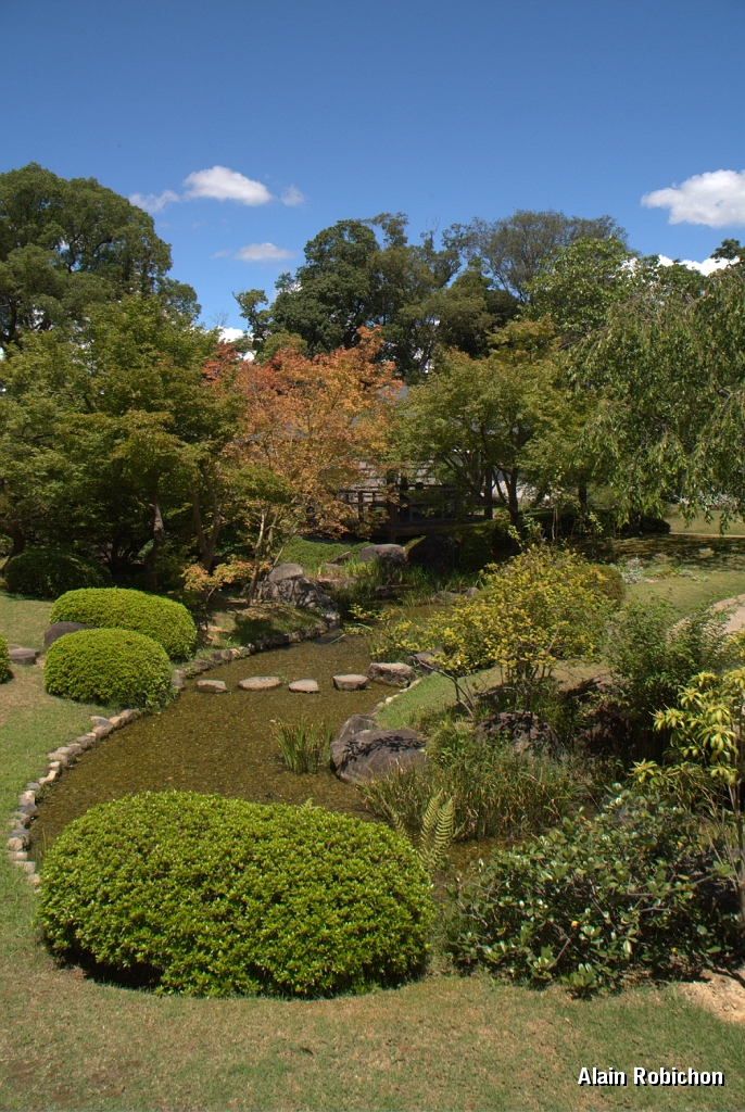DSC_3428.jpg