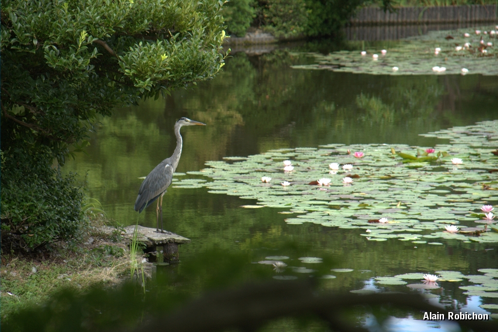 DSC_3434.jpg