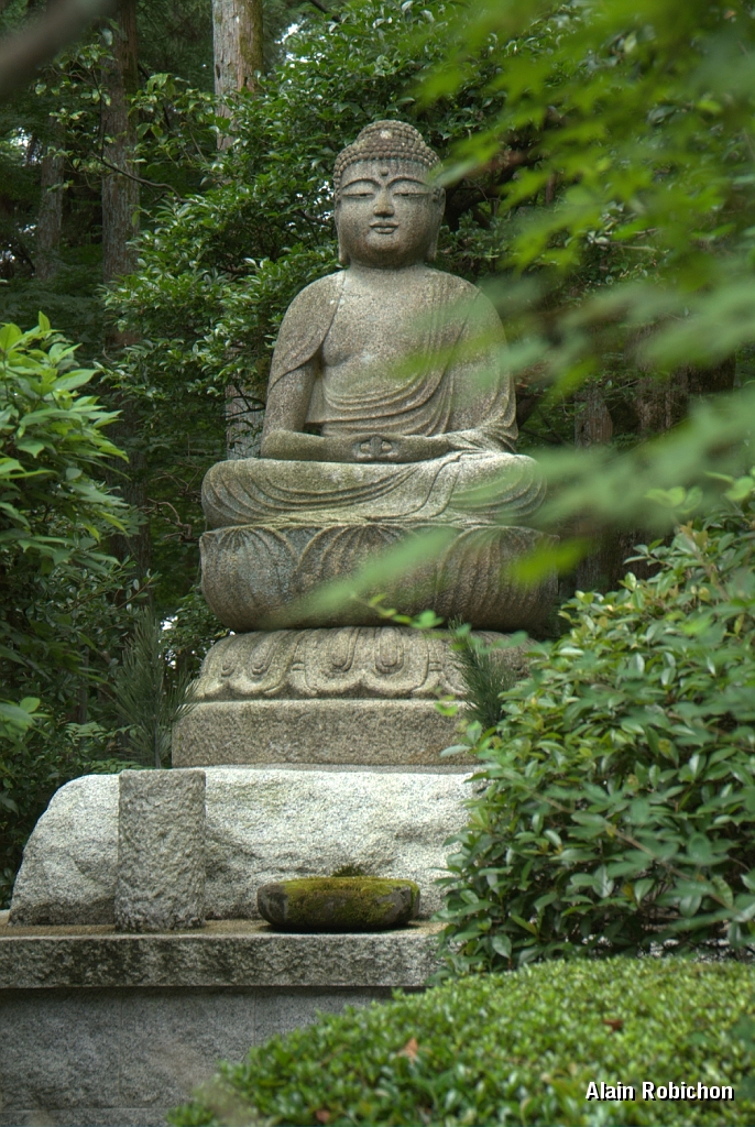 DSC_3437.jpg