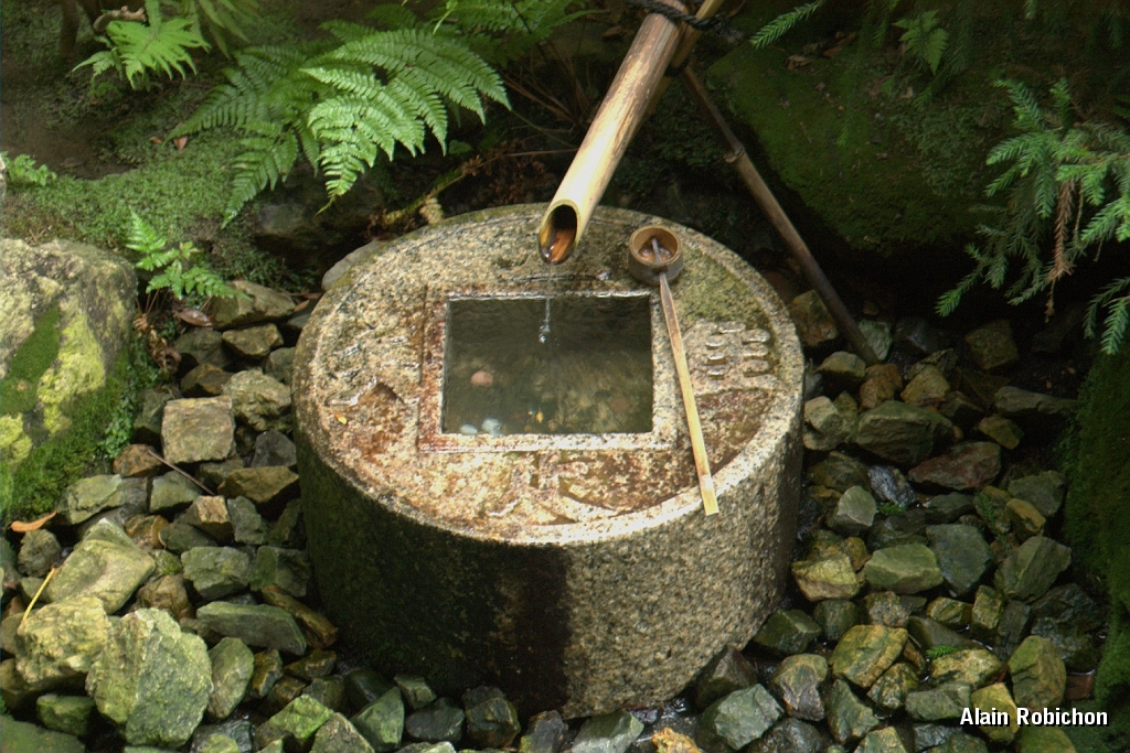 DSC_3442.jpg