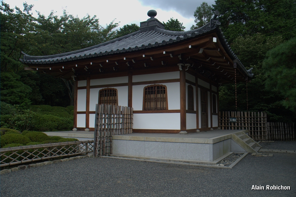 DSC_3443.jpg