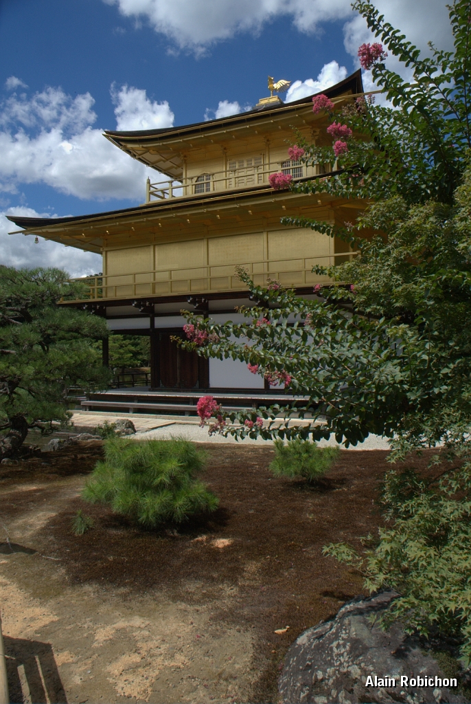 DSC_3461.jpg