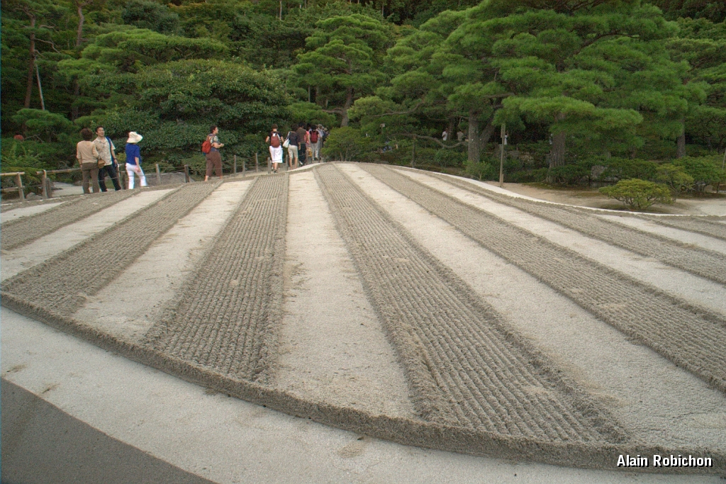 DSC_3470.jpg