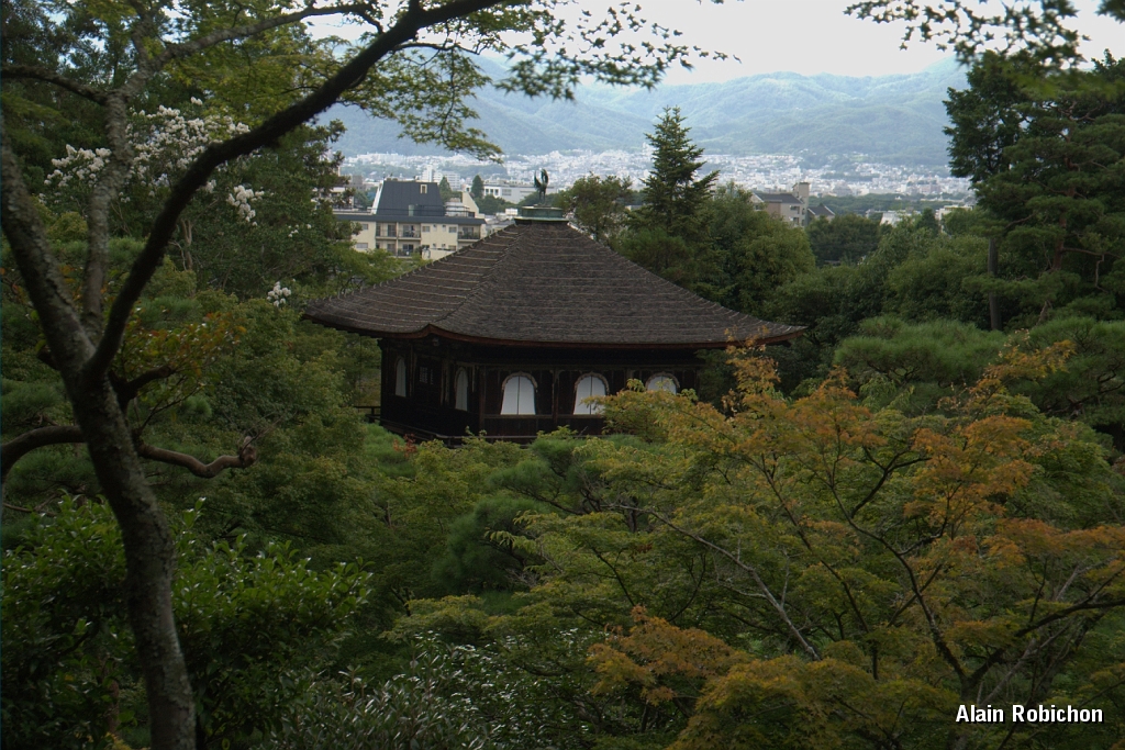 DSC_3473.jpg