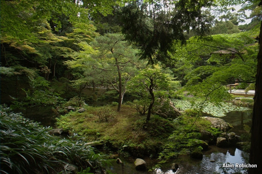 DSC_3484.jpg